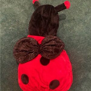 Ladybug Kids Costume - Red and Black